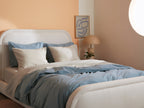 Brushed Cotton Bundle - Bone F/Q