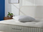 Feather Euro Pillow Insert