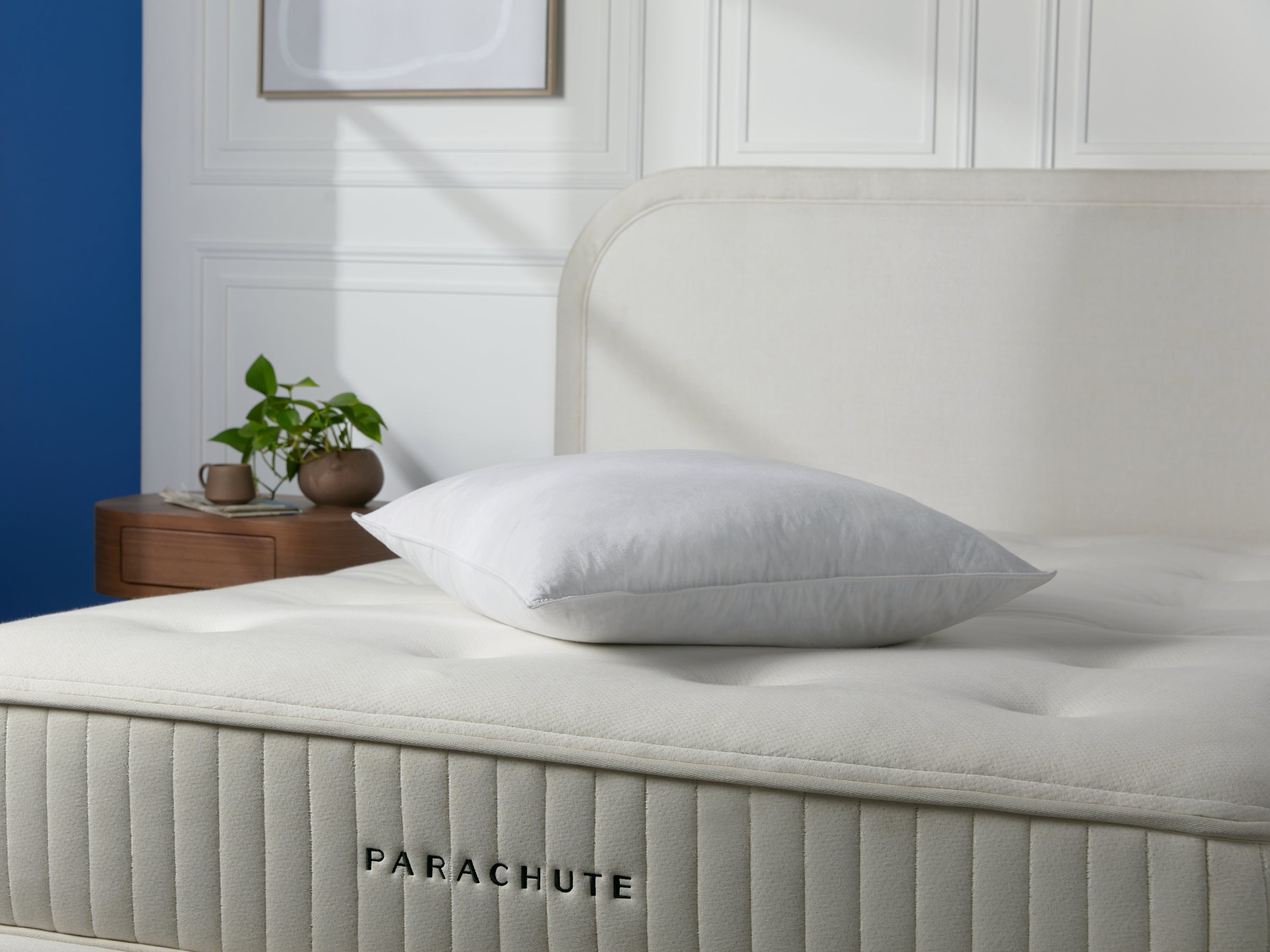 Feather Euro Pillow Insert